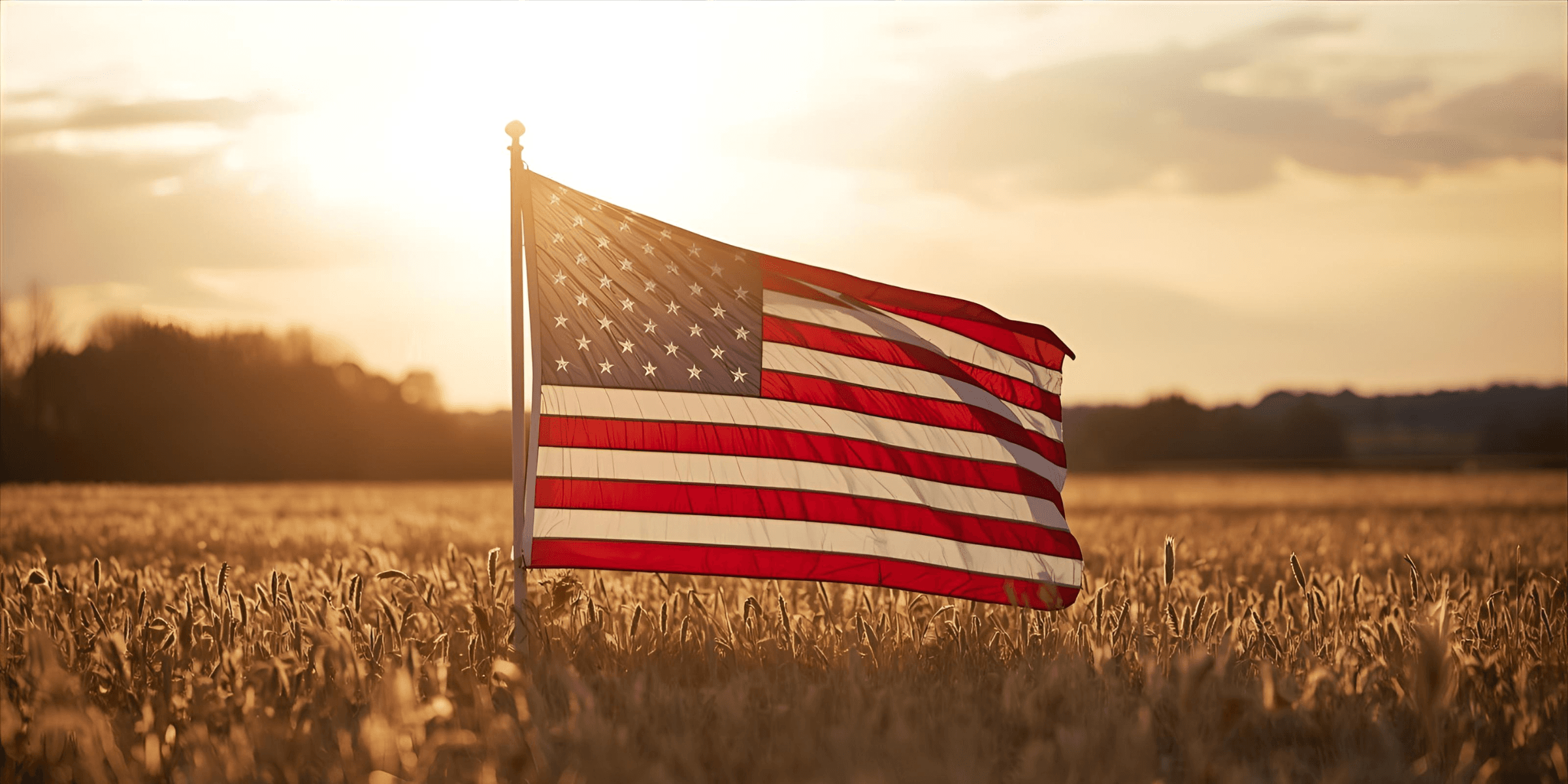 The Guide to SBOMs and FedRAMP Compliance