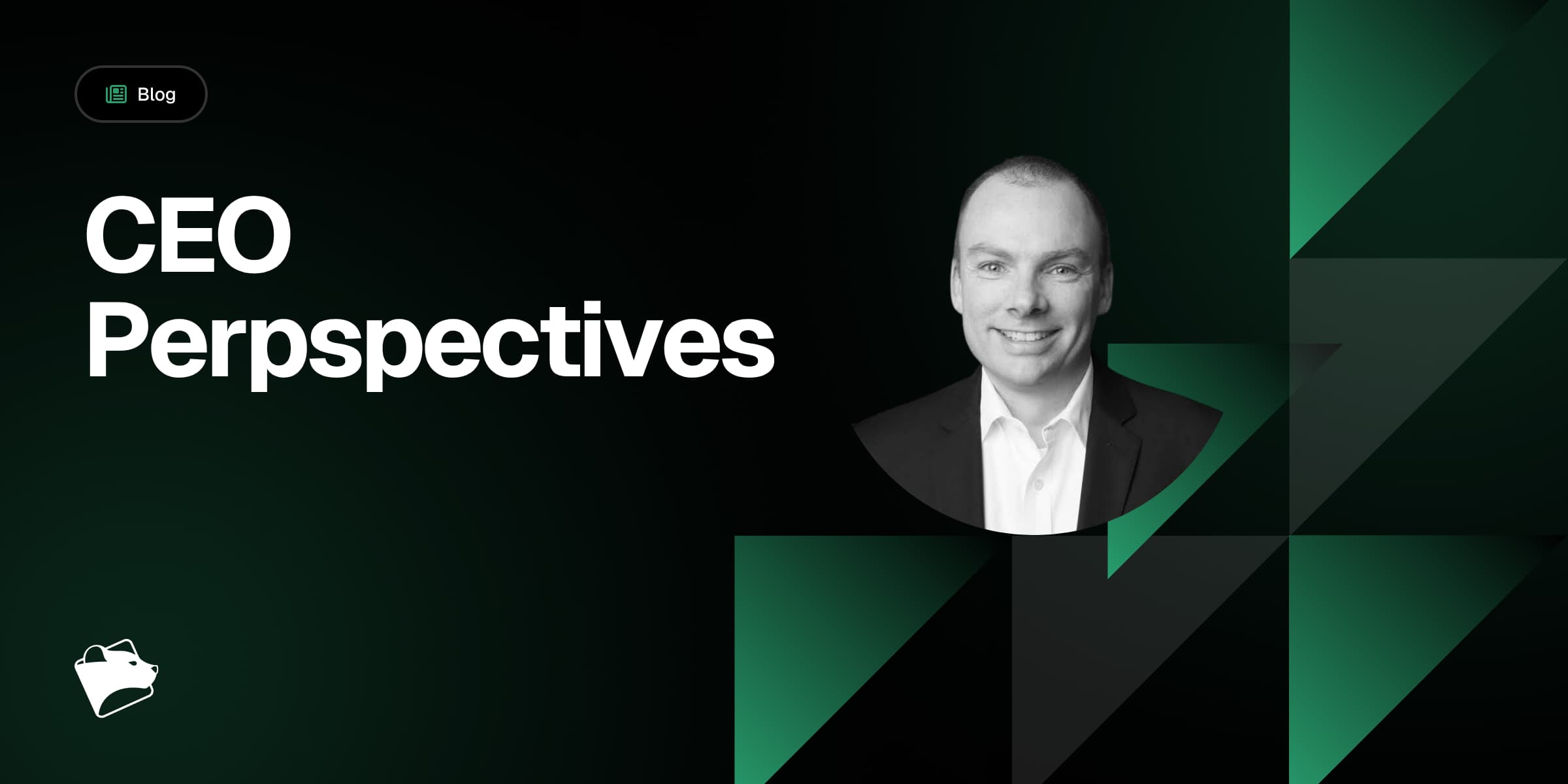 Project Glasswing and Vulnerability Exploitation Velocity