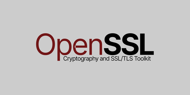 OpenSSL Vulnerability 2022: Details and Fixes